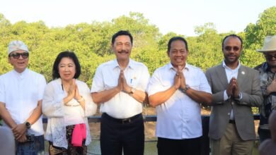 Menteri Koordinator Kemaritiman dan Investasi (Menko Marves) Luhut Binsar Pandjaitan menanam satu bibit mangrove yang telah diberkati oleh Pemimpin Gereja Katolik Dunia, Paus Fransiskus. (Ist)