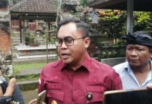 Kepala Kantor Imigrasi Kelas I TPI Denpasar, Ridha Sah Putra. (Dok/Rahma).