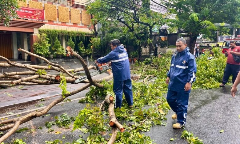 BPBD Kota Denpasar bersama petugas DLHK dan aparat Desa/Kelurahan menangani pohon yang tumbang akibat cuaca ekstrim di Kota Denpasar, Minggu (9/2/2025). (Dok/ist).