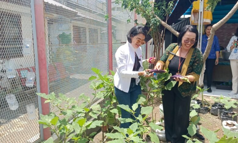 Kepala Lapas Perempuan Kerobokan Ni Luh Putu Andiyani, serta Owner PT Kaori Alam Nusantara (KAN) Ni Kadek Winie Kaori Intan Mahkota bersama Warga Binaan di Lembaga Pemasyarakatan (Lapas) Perempuan Kelas IIA Kerobokan panen perdana budidaya tanaman terong pada Selasa (11/3/2025). (Dok.istimewa).