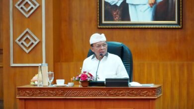 Gubernur Bali Wayan Koster. (dok.istimewa)