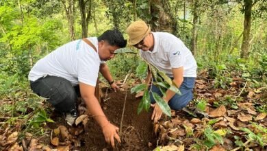 Plt. Ka UPTD KPH Bali Utara, Hesti Sagiri (kanan) saat sedang menanam pohon. (deok.istimewa)