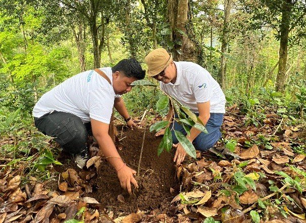 Plt. Ka UPTD KPH Bali Utara, Hesti Sagiri (kanan) saat sedang menanam pohon. (deok.istimewa)