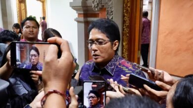 Wakil Gubernur Bali I Nyoman Giri Prasta. (dok.istmewa)