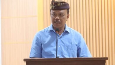 Sekretaris Daerah Provinsi Bali Dewa Made Indra. (dok.istimewa)