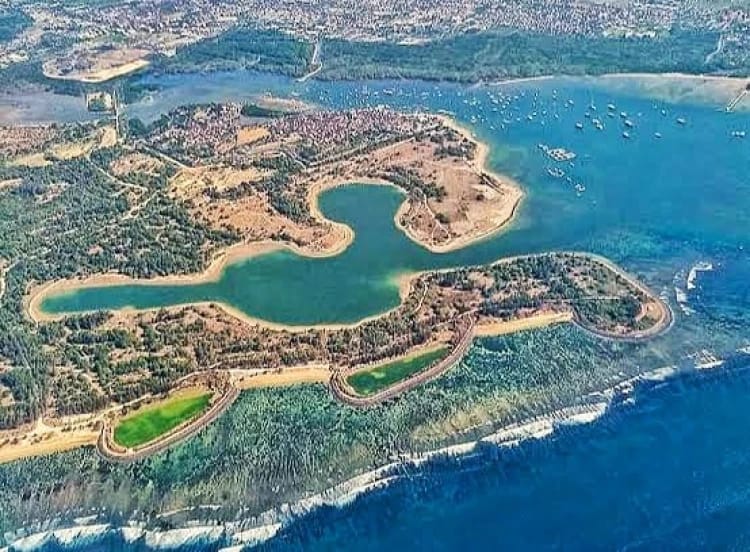 Potret kawasan mangrove Ngurah Rai. (Dok. Istimewa)