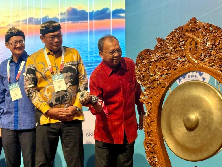 Gubernur Bali Wayan Koster. (Dok. Istimewa)