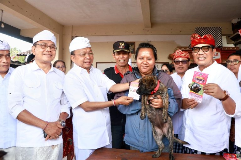 Gubernur Bali Wayan Koster beserta pemimpin daerah di Bali saat meninjau pelaksanaan vaksinasi rabies dan sterilisasi massal terhadap Hewan Penular Rabies (HPR), khususnya anjing, di Banjar Wangaya Kaja, Desa Wangaya Gede, Kecamatan Penebel, Tabanan dalam Perayaan Rahina Tumpek Uye, Sabtu (5/9/2026). (dok: istimewa)